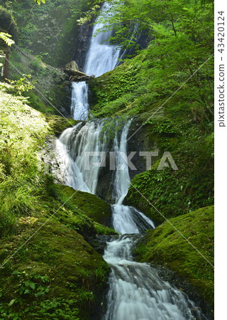 [Shinjo City, Aichi Prefecture] Seven waterfalls of Atera (100 selected waterfalls in Japan) 43420124