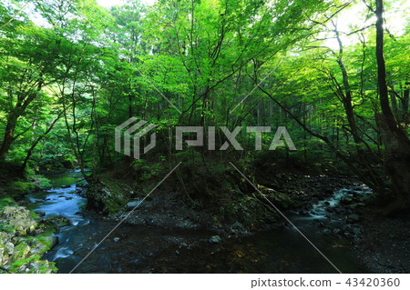 Kuji River mountain stream 43420360