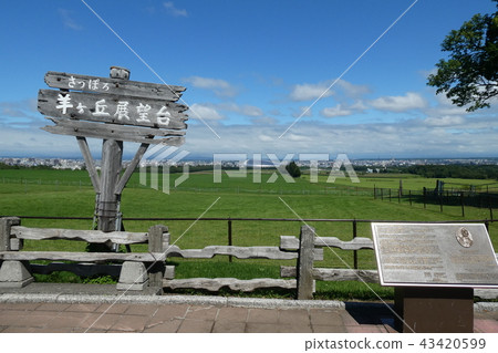 Yanagaoka天文台 43420599