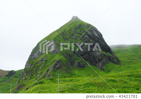 Rebun Island Momoiwa 43421781