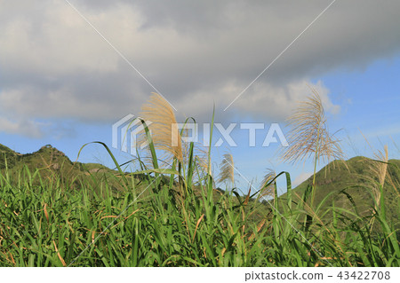 a Kowloon Peak or Fei Ngor Shan sunset view at hk a Kowloon Peak or Fei Ngor Shan sunset view at hk 43422708