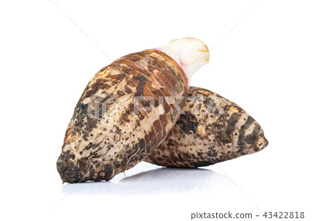 Sweet taro root isolated on whit background Sweet taro root isolated on whit background 43422818