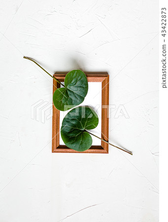 Wooden framework,green leaf on white, top view Wooden framework,green leaf on white, top view 43422873
