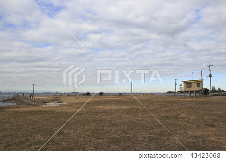 在冬天的Egawa海岸 在冬天的Egawa海岸 43423068