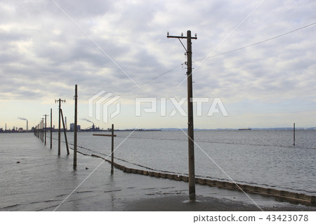 在冬天的Egawa海岸 43423078