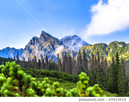 Polish Tatra mountains summer landscape with blue sky and white clouds. Polish Tatra mountains summer landscape with blue sky and white clouds. 43423618