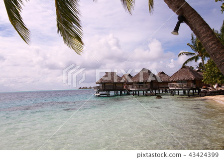 大溪地波拉波拉島 43424399