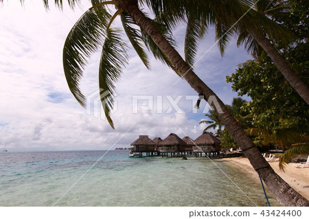 大溪地波拉波拉島 43424400