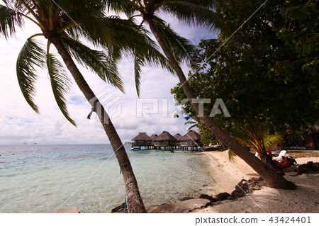 大溪地波拉波拉島 43424401
