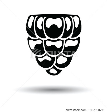 Icon of Raspberry 43424695