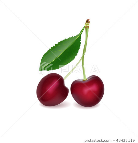 Cherry Realistic 3d Vector Illustration. Ripe Cherry Realistic 3d Vector Illustration. Ripe 43425119