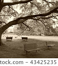 Bench 43425235