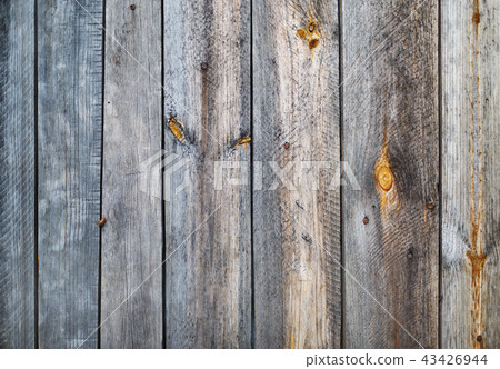 Wood planks texture 43426944