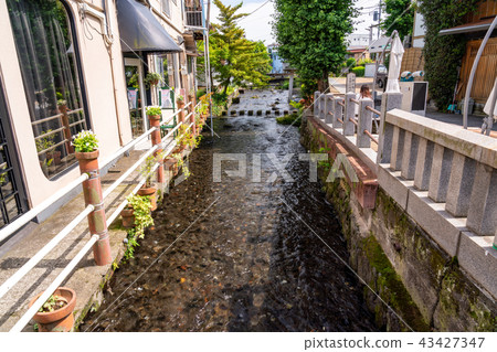 （靜岡縣）在三島鎮流動的根河的流動 43427347