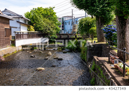 （靜岡縣）在三島鎮流動的根河的流動 43427349