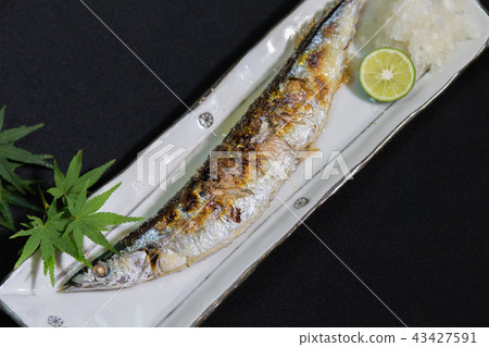 Autumn taste and cuisine-grilled saury with salt- 43427591
