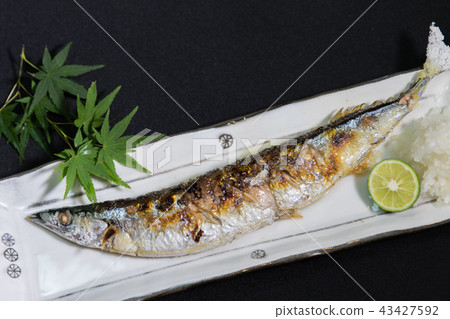 Autumn taste and cuisine-grilled saury with salt- 43427592