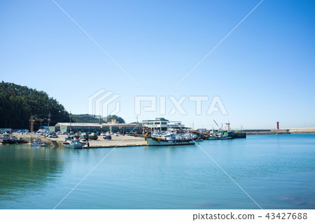 忠南縣泰安郡Mo杭港 43427688
