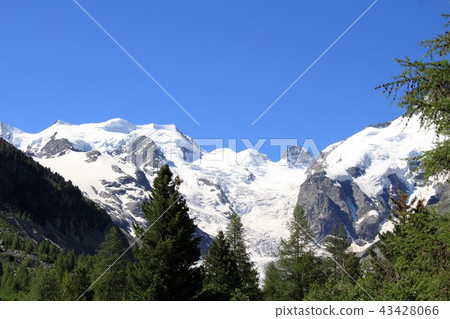 Bernina Alps Bernina Alps 43428066
