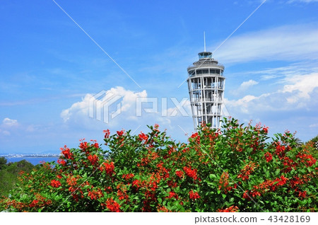 江之島天文檯燈塔海蠟燭和美國德戈 43428169