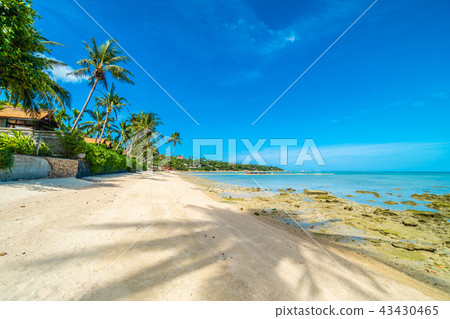 Beautiful tropical beach sea and sand with coconut palm tree on blue sky and white cloud 43430465