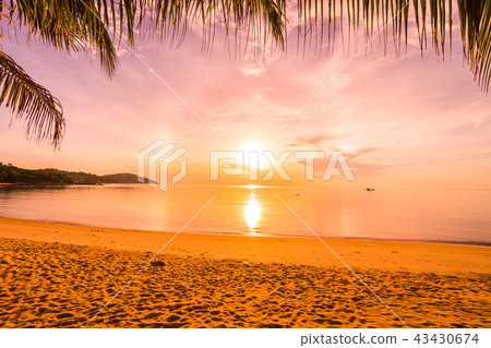 At sunset time on the tropical beach and sea with coconut palm tree At sunset time on the tropical beach and sea with coconut palm tree 43430674