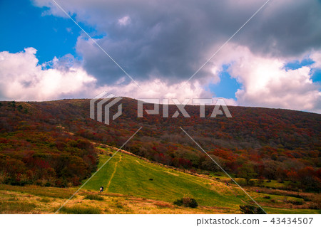 Autumn leaves of Azumayama Kashihara City, Hiroshima Prefecture 43434507