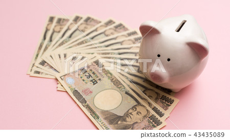 Piggy bank  43435089