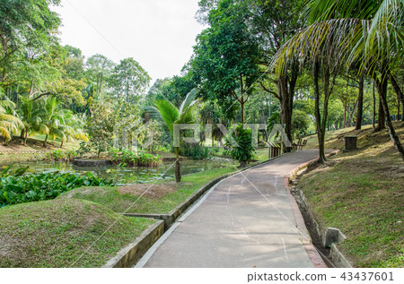 Kuala Lumpur Perdana Botanical Gardens,Malaysia. 43437601