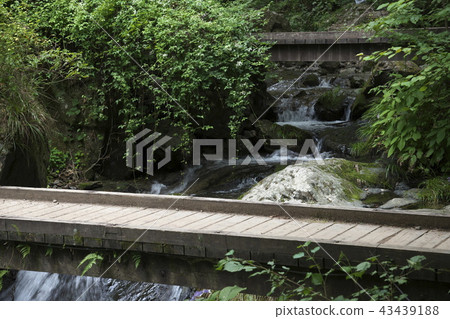 One bridge over the clear stream One bridge over the clear stream 43439188