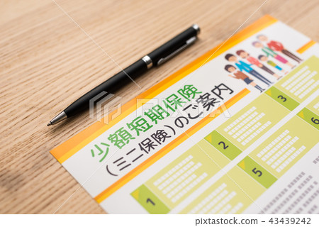 pamphlet pamphlet 43439242