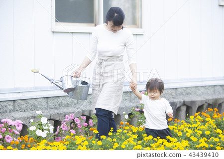 Parent and child gardening Parent and child gardening 43439410