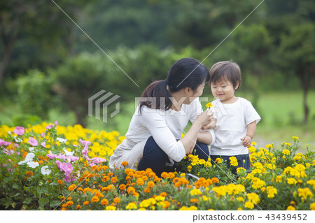 Parent and child gardening 43439452