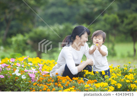 Parent and child gardening 43439455