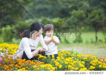 Parent and child gardening Parent and child gardening 43439457