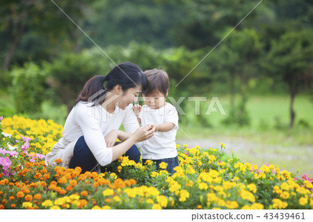 Parent and child gardening Parent and child gardening 43439461