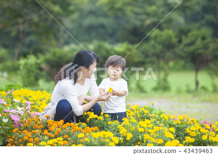 Parent and child gardening Parent and child gardening 43439463