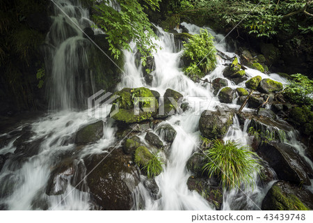 Moss and Grass Stones and Mitarai Waterfall Moss and Grass Stones and Mitarai Waterfall 43439748