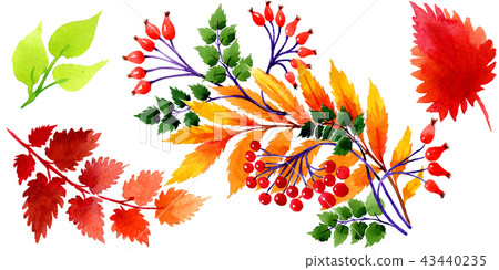 Watercolor autumn ornament of leaves. Leaf plant botanical garden floral foliage. Isolated 43440235