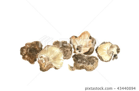 Dried shiitake mushrooms  43440894