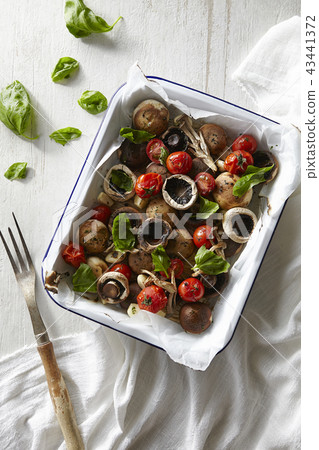 mushroom 43441372