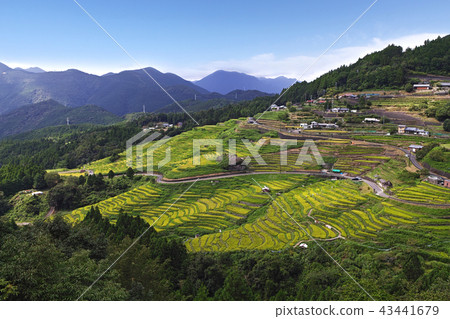 【精選100日本Tanadas·三重縣·旅遊景點】丸山千枚達 【精選100日本Tanadas·三重縣·旅遊景點】丸山千枚達 43441679