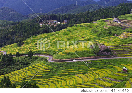 【Selected 100 Japanese Tanadas ・ Mie Prefecture · Tourist Attractions】 Maruyama Senmaida 43441680