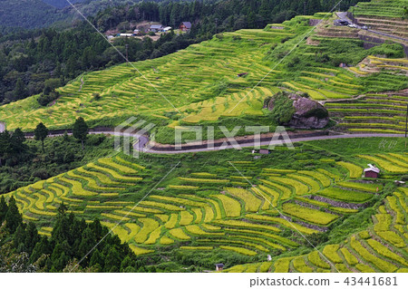 【精選100日本Tanadas·三重縣·旅遊景點】丸山千枚達 43441681