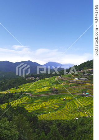 [日本，三重縣，旅遊景點指定的100個梯田]丸山千枚田複製空間 43441769