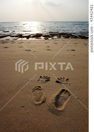 Feet and hands Feet and hands 43442481