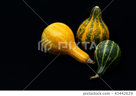 Toy pumpkin 3 pieces Black background a-2 upper right Toy pumpkin 3 pieces Black background a-2 upper right 43442629