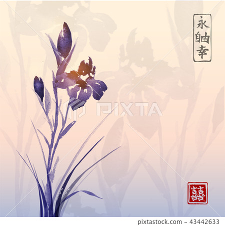 Iris flower and sunrise. Traditional oriental ink painting sumi-e, u-sin, go-hua. Contains Iris flower and sunrise. Traditional oriental ink painting sumi-e, u-sin, go-hua. Contains 43442633