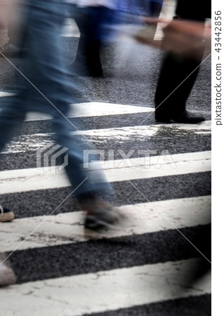 Crowd going crossing Crowd going crossing 43442856