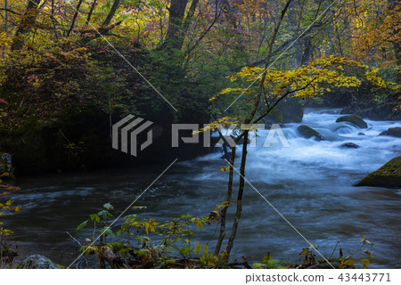 Oarase谷雄偉的看法在秋天 43443771